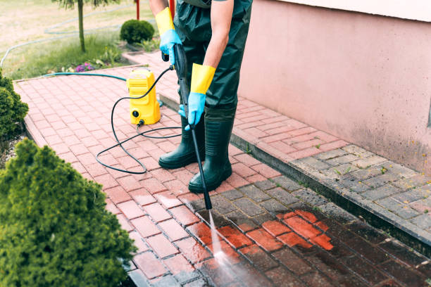 Best Warehouse Cleaning  in White Sulphur Springs, WV