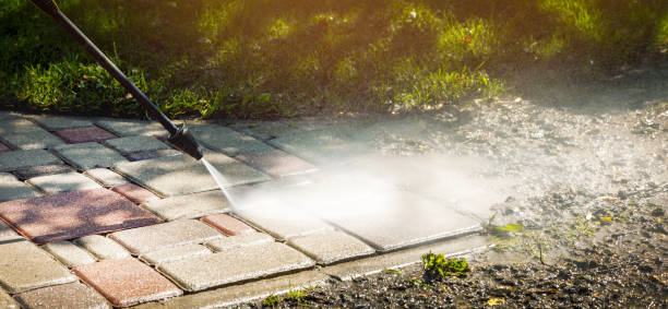 Best Gutter Cleaning  in White Sulphur Springs, WV